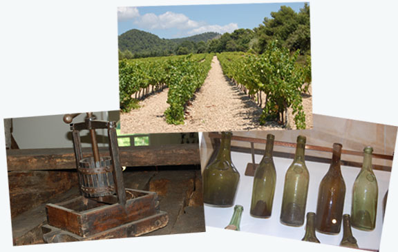 Wine making from grapes to presses to bottles