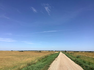 another view down dirt road in the prairies