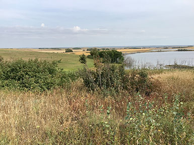 view of a pond behond a meadow