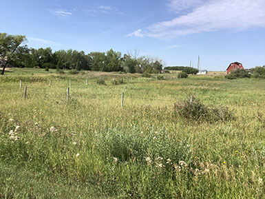 grassy pasture with a white farmhouse and red barn in the distance