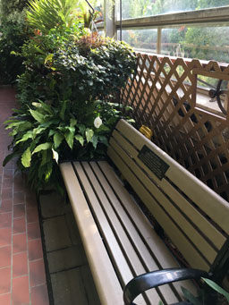 Memorial Bench for Caroline