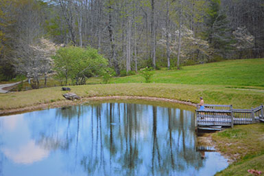 wide view of a pond with a man standing on a deck overlooking the water to one side and woods beyond